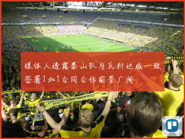 媒体人透露泰山队与瓦科达成一致签署1加1合同合作前景广阔