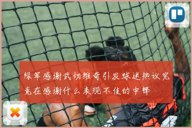 绿军感谢武切维奇引发球迷热议究竟在感谢什么表现不佳的中锋