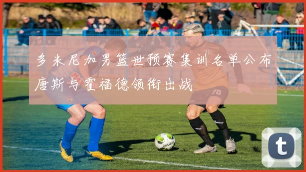多米尼加男篮世预赛集训名单公布唐斯与霍福德领衔出战
